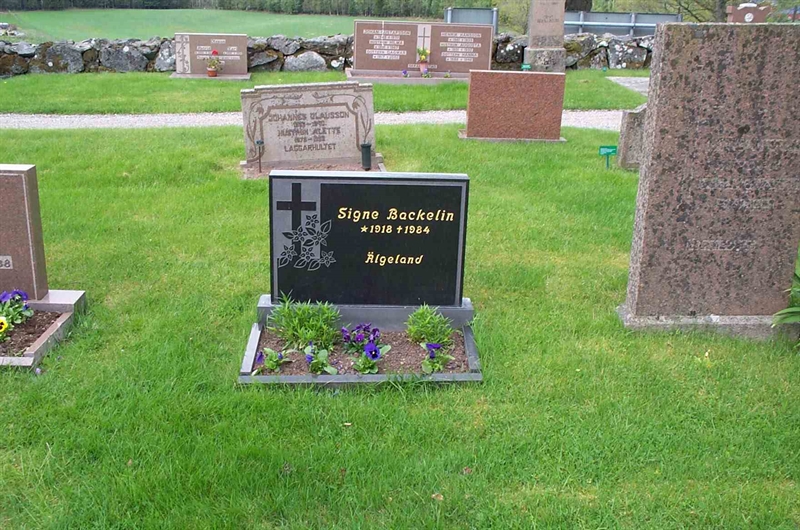 Grave number: N 001  0311
