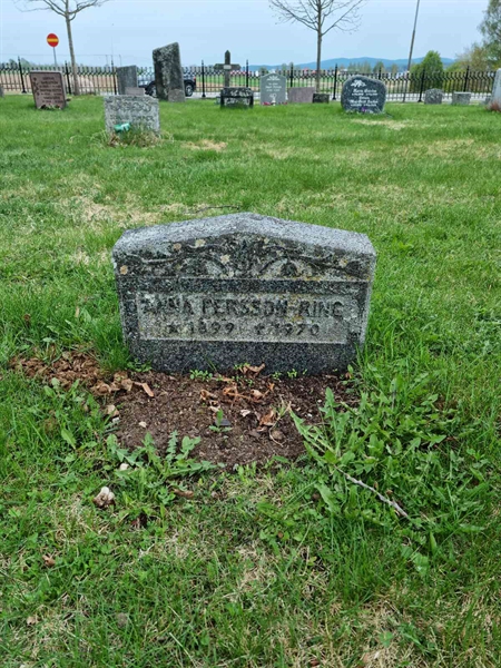 Grave number: D G 3   795