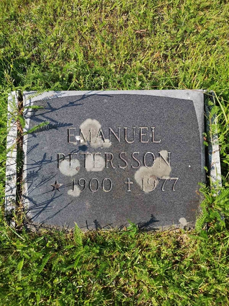 Hautatunnus: NK 06    15