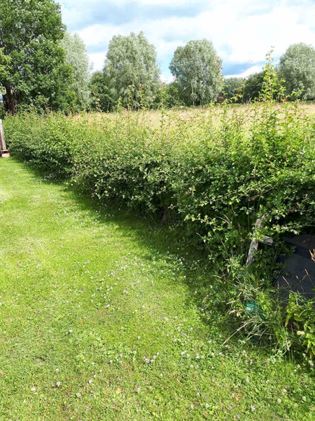 Gravnummer: GK F 5   486