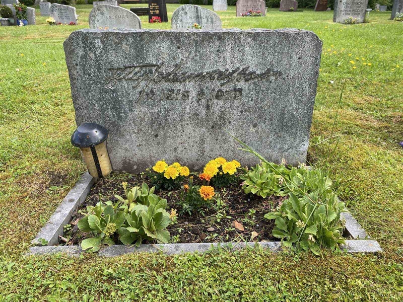 Grave number: 1 02    45