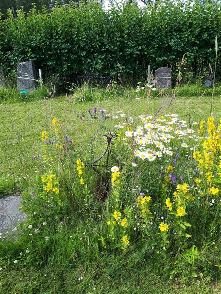 Hautatunnus: GK A 5   166V