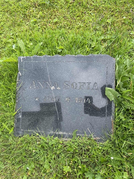 Grave number: DU GS   241