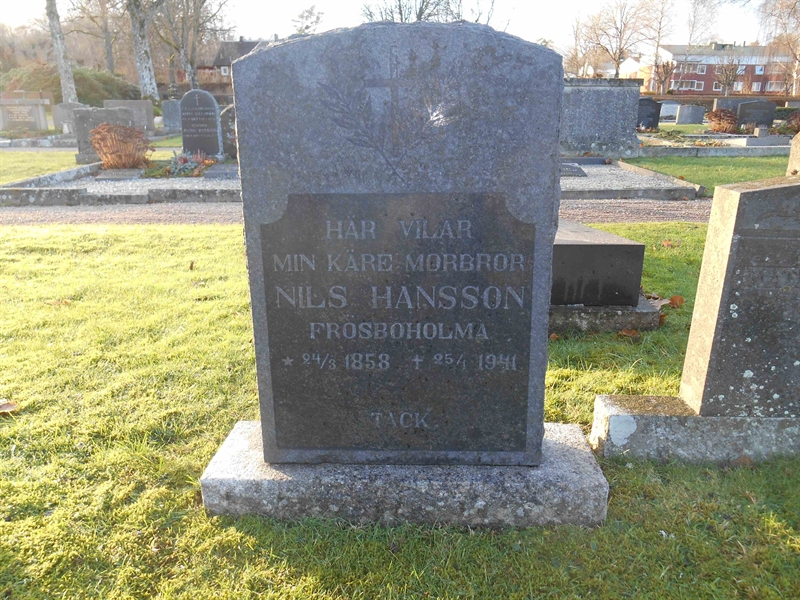 Grave number: Vitt N10    29