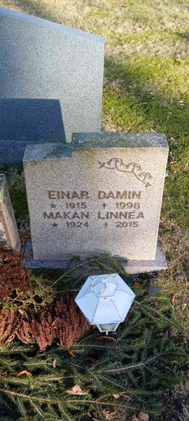 Hautatunnus: 3 Nya E    93