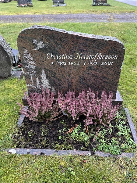 Grave number: Ärt 60 26    30