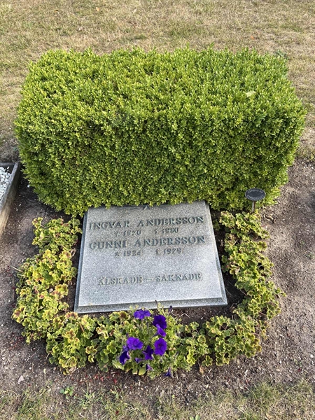 Grave number: NK XX:u    46
