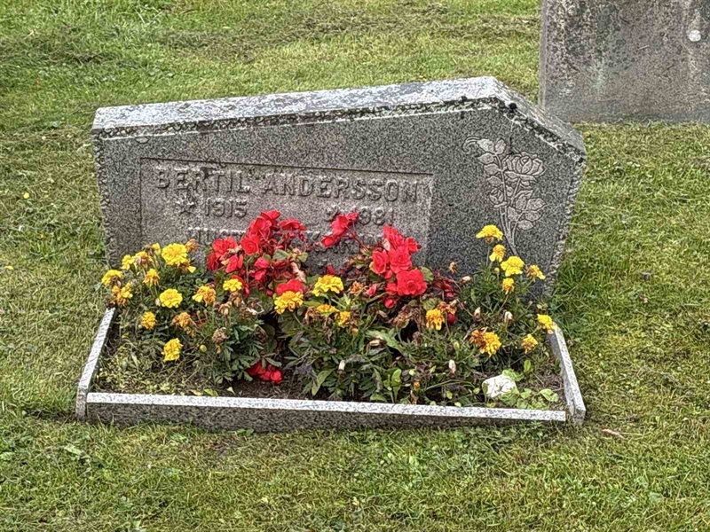 Grave number: IN 31    83-84