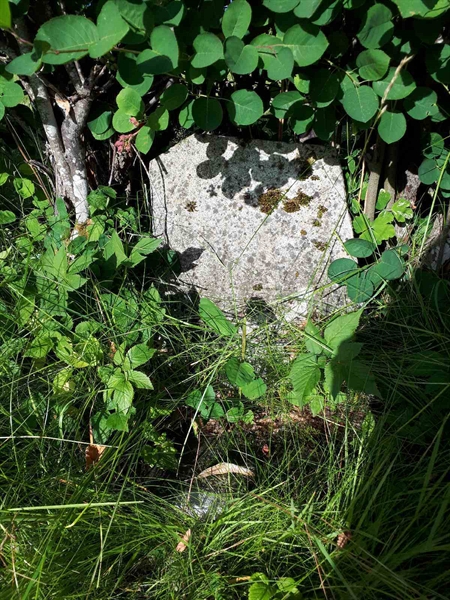 Hautatunnus: GK A 5   202H