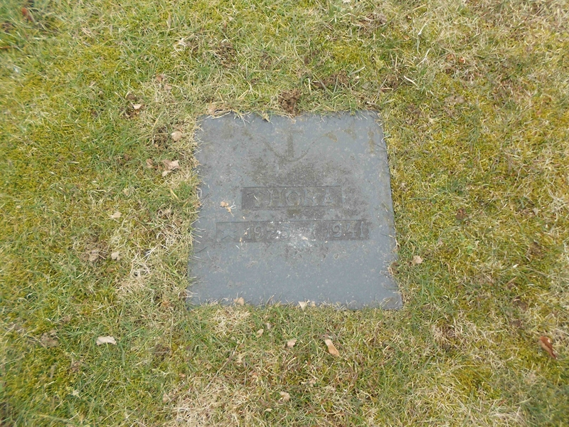 Grave number: V 5    95