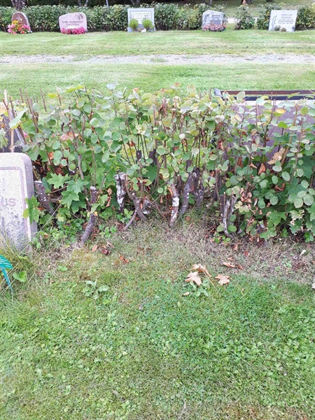 Gravnummer: NK F B    15