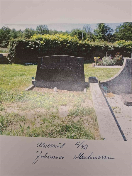 Gravnummer: 40 C    42