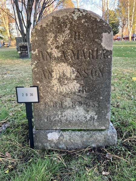 Hautatunnus: 2 B    36