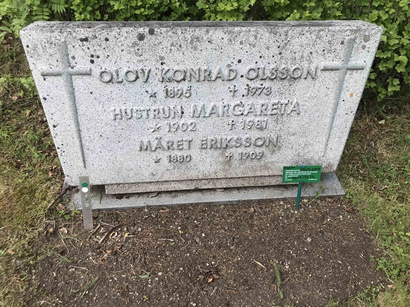 Grave number: UN D    92A, 92B
