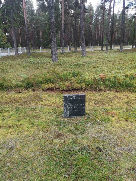 Hautatunnus: VLM 06     1:1