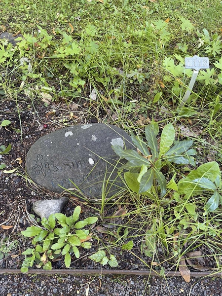Hautatunnus: 1 I   113