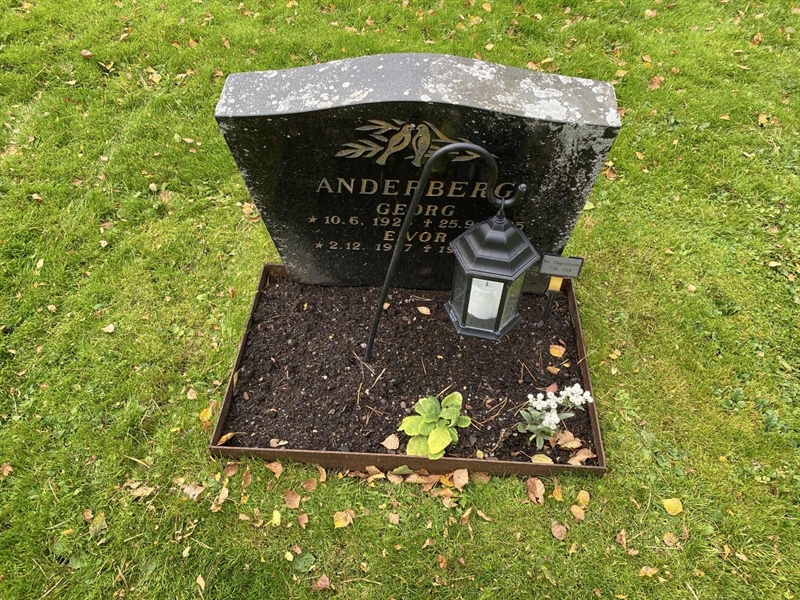 Hautatunnus: 2 C   738-739