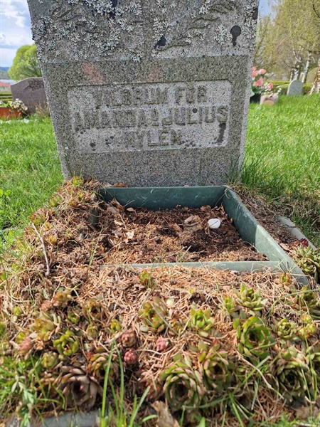 Grave number: 501 10 1662
