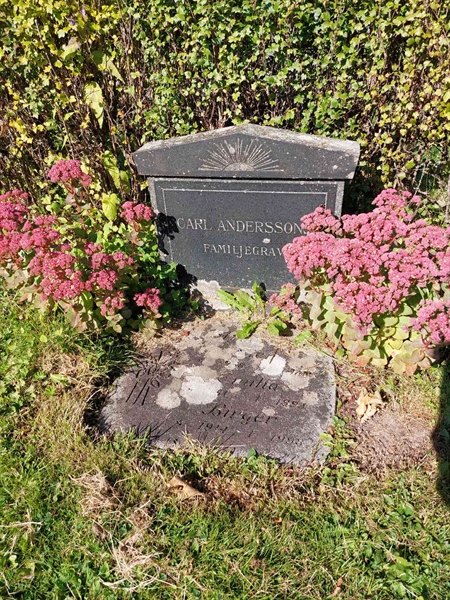 Gravnummer: 1 D   043