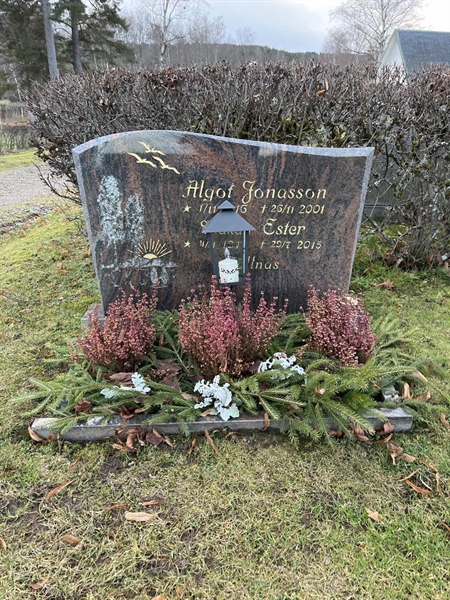 Hautatunnus: Vårv Kv5 70+71