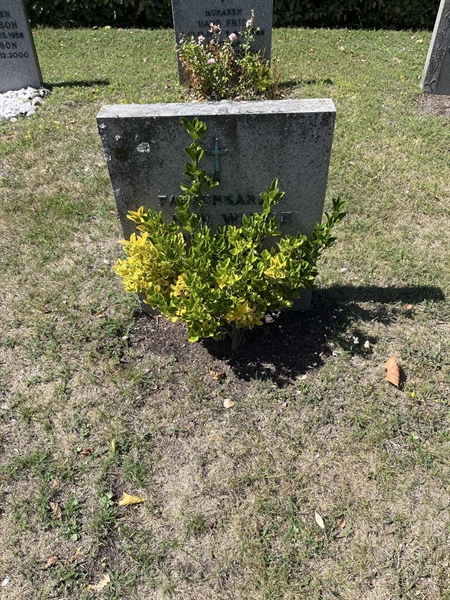 Grave number: NK I:u    41