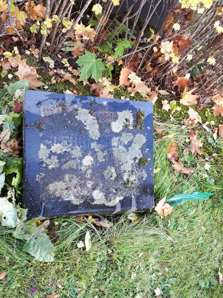 Gravnummer: GK F 1   273