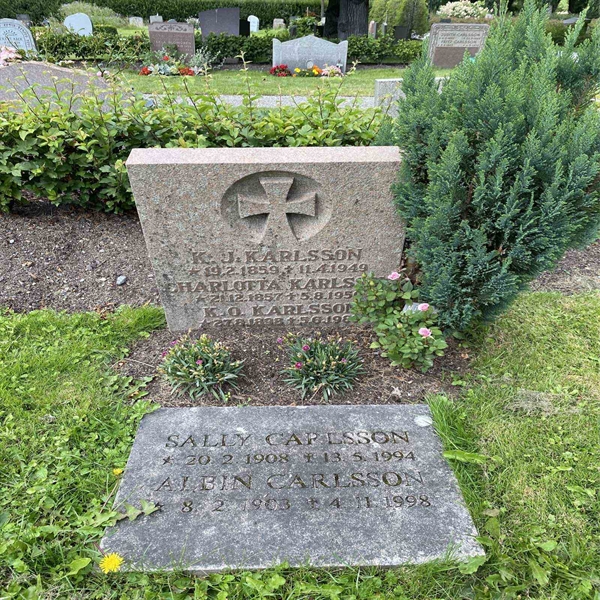 Hautatunnus: 1 NC    99