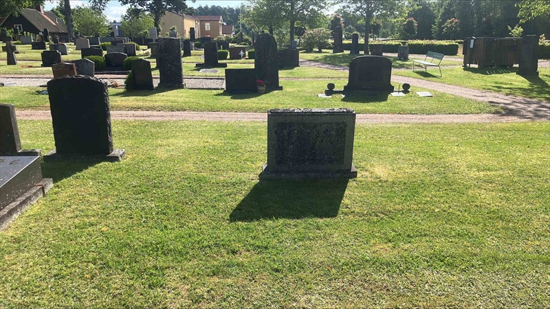 Grave number: Vitt N10 702