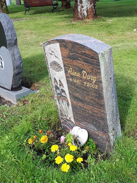 Gravnummer: NK F D   249