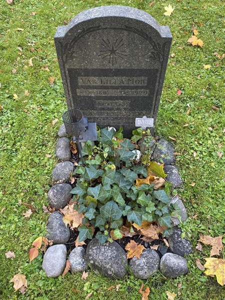 Hautatunnus: 1 H   345