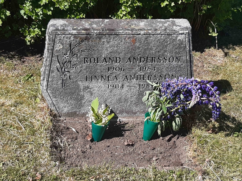 Grave number: JÄ 10    24