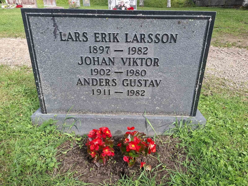 Grave number: 001 3  2215