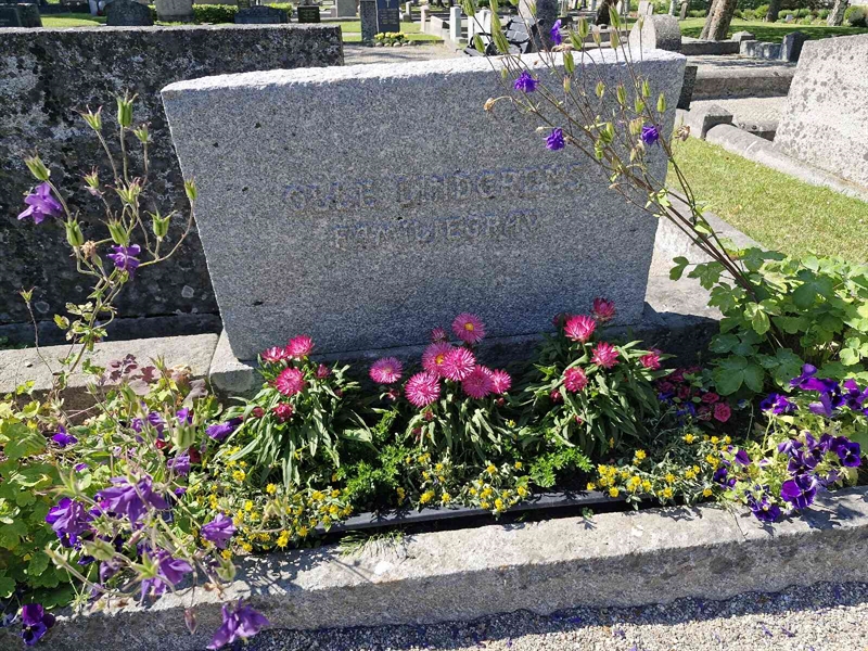 Grave number: 1 HOPP 48A