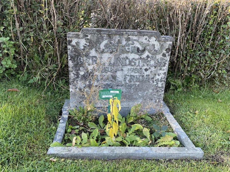 Grave number: 1 C 1480Allm