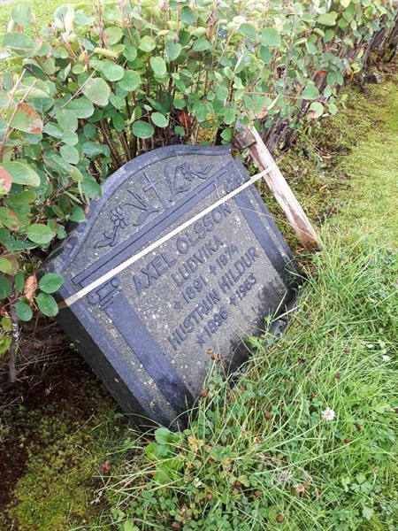 Gravnummer: NK F A   221