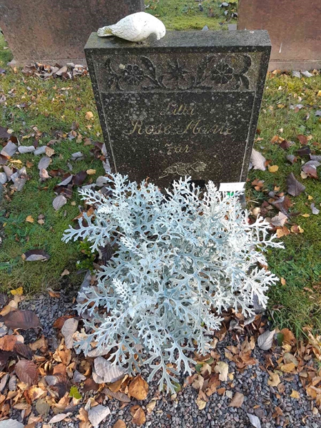 Grave number: Fr 7  1021