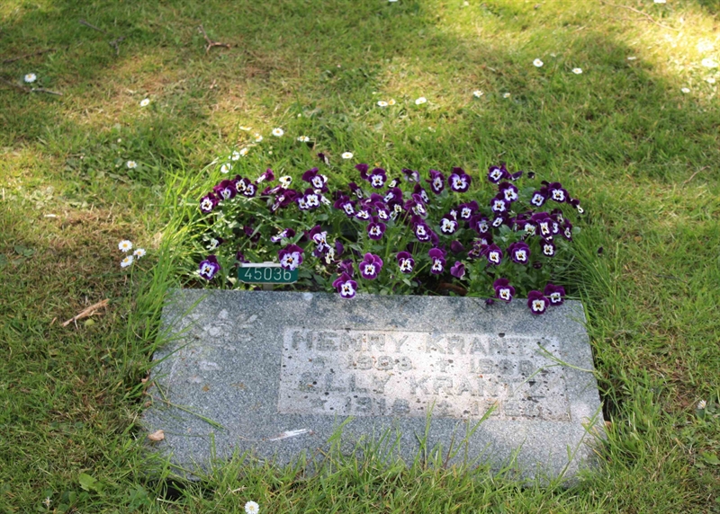 Grave number: Ö 45    36