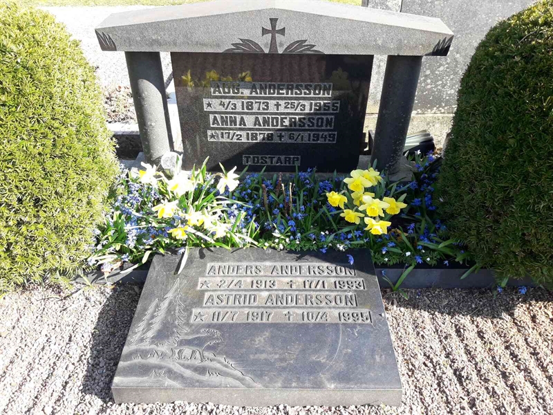 Grave number: TÖ 2    40