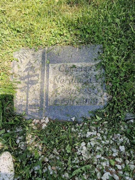 Grave number: 501 29 5539