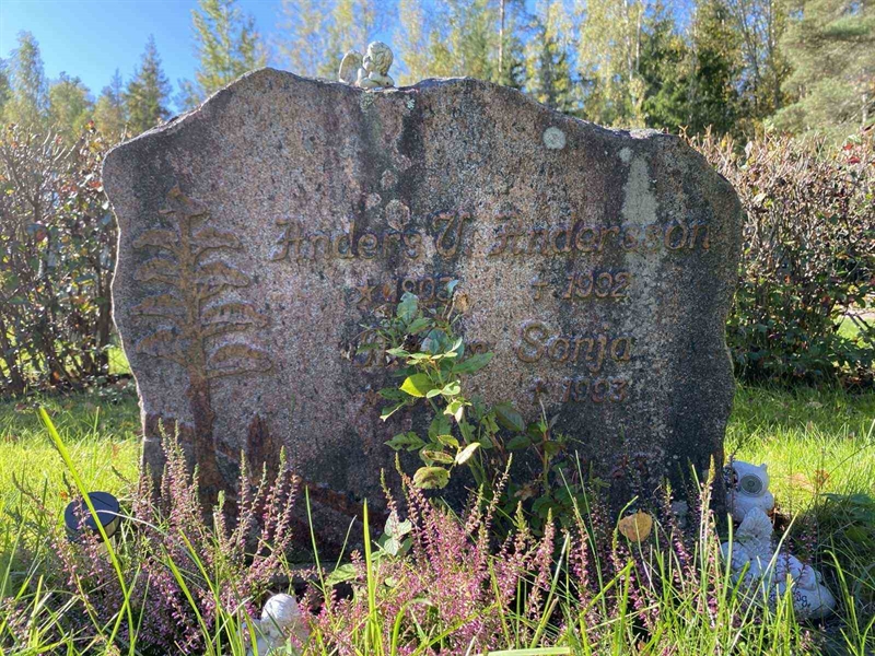 Grave number: 1 22     78