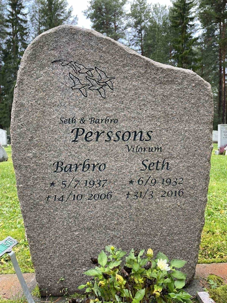 Grave number: 3 7    56