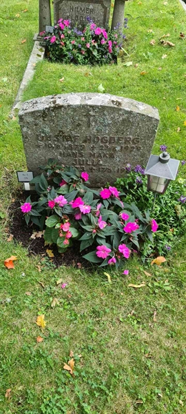 Grave number: M S  129