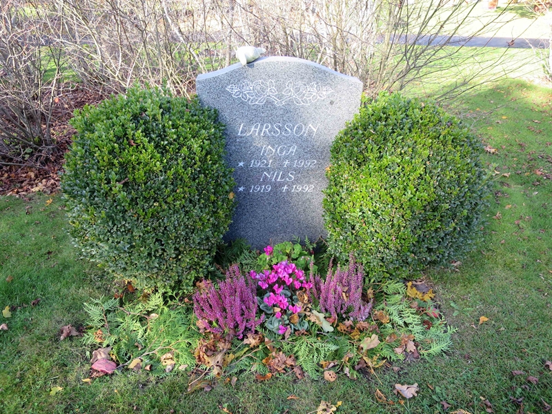 Grave number: HNB II     4