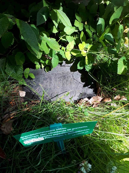 Hautatunnus: GK A 5   135H