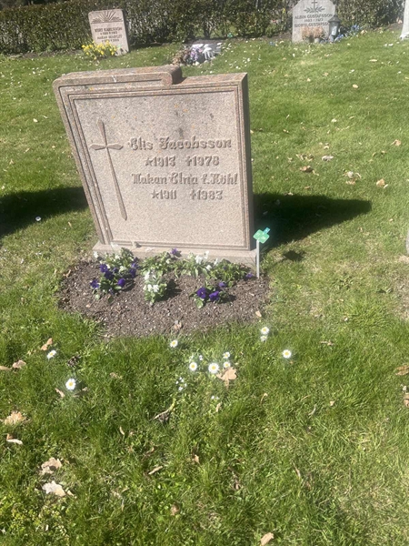 Grave number: 1 3 F1 289