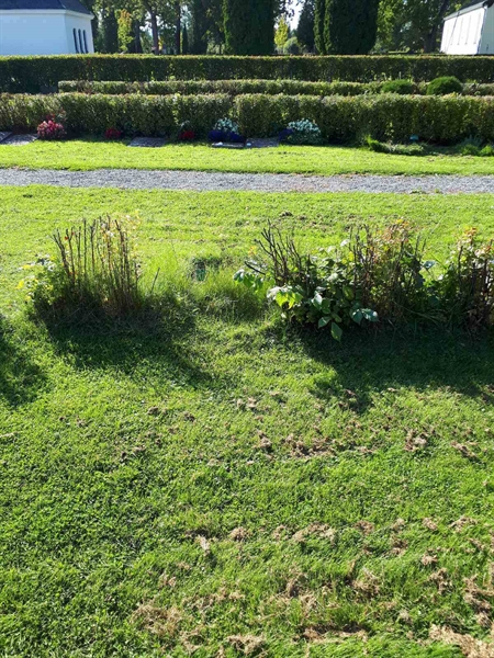 Gravnummer: NK F G   301