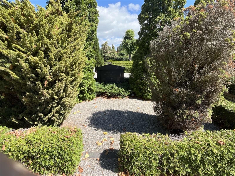 Grave number: NK III   125