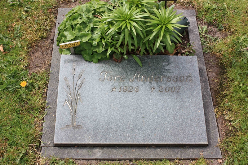 Grave number: Ö 46   392