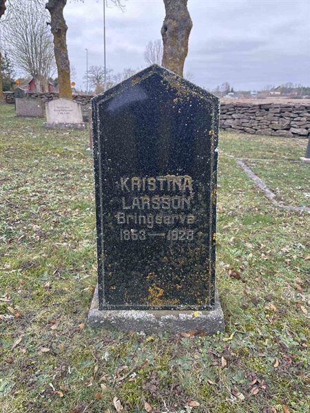 Gravnummer: LE   514