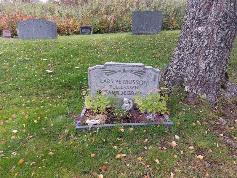 Hautatunnus: NY H 68